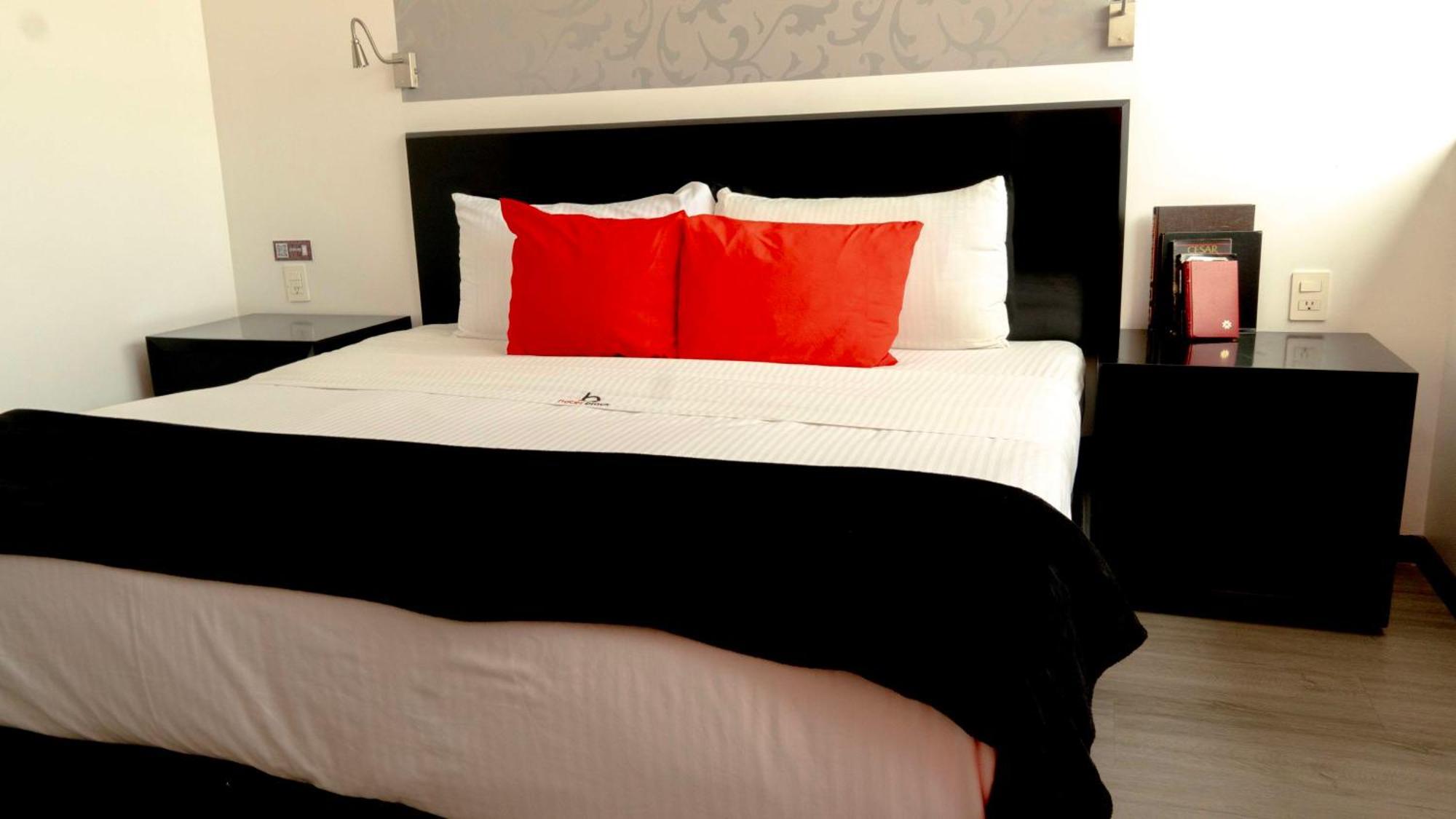 Hotel Black Boutique Mexico By Eksteriør billede